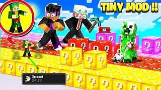 I Cheated Using TINY Mod in LUCKY BLOCK Race 