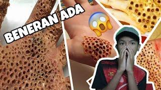 BENERAN ADA PENYAKIT BOLONG BOLONG?trypophobia Challenge!!