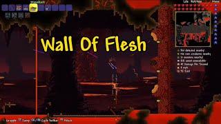 Terraria How To Summon And Kill The Wall Of Flesh