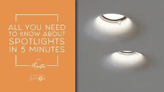 All you need to know about Spotlights in 5 minutes | Technically Shiok