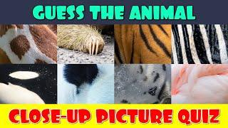Guess the Animal from a Close-Up Picture Quiz