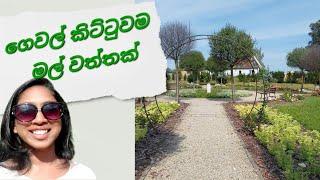 මල් වත්තට ගිය පුංචි walk එක| #poland #lifestyle #travel #botanicalgarden #walkthrough #viralvideo