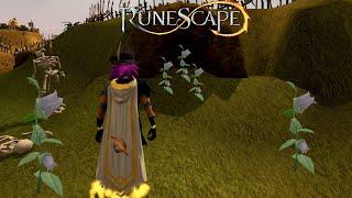 Collecting This Herblore Secondary is HUGE Profit & Free Herb XP - Runescape 3 Money Making Method