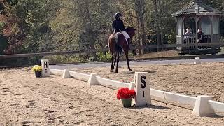 Kasey Feola, Cadence, Third Level, Test Two at MHVC October Dressage Show 2020