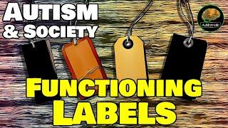 Autism & Society: Functioning Labels (High or Low Functioning, Severe Autism etc)