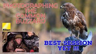 How To Capture The Best Bird of Prey Images (Full Buzzard Photography Session)