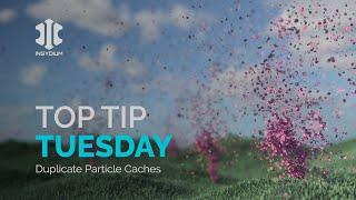 Top Tip Tuesday - Duplicate Particle Caches