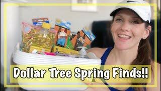 DOLLAR TREE HAUL | GREAT SPRING FINDS 2020