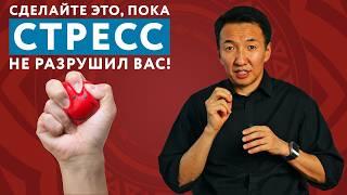 КАК не дать СТРЕССУ разрушить ваше ЗДОРОВЬЕ? | Все болезни от НЕРВОВ #докторжимба #тибетскаямедицина