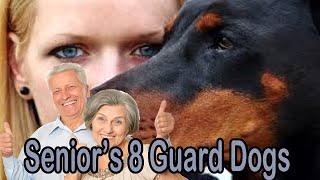 8 Best Guard Dogs for Seniors - Conclusion