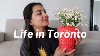 LIFE IN TORONTO : homebody diaries, Productive days, snack recipe & more