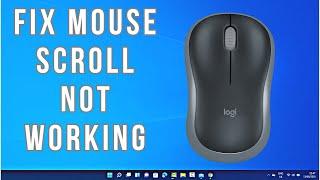 How to Fix Mouse Scroll Not Working on Windows 11/10