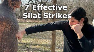 7 Silat Strikes to Kick Your Opponent's A** - Street Fighting Techniques!