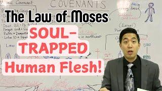 The Bible That Christians Don't Know About (Part 5) | Soul = Flesh? Same Thing? | Dr. Gene Kim