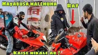 Hayabusa mai Chuha ghus gaya  sahi time par Shop se transfer kardi Bike  ab kya karenge ?