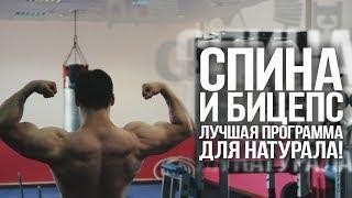 Спина и бицепс. Лучшая программа для натурала!