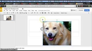 Images and Backgrounds in Google Slides