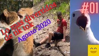 Lo mas divertido de tik tok Agosto #01