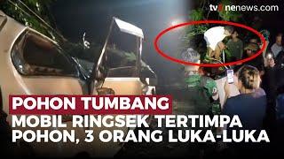 NGERI! Mobil Ringsek Tertimpa Pohon di Manado-Tomohon, 3 Orang Luka-luka | OneNews Update