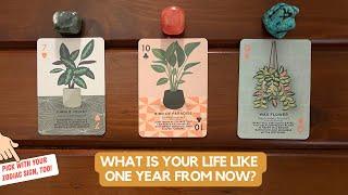 What Is Your Life Like One Year From Now? | Timeless Reading