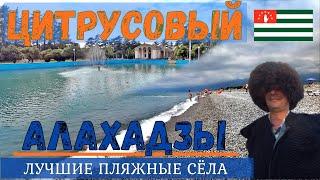 АЛАХАДЗЫ и ЦИТРУСОВЫЙ. Бюджетный отдых в сёлах АБХАЗИИ наедине с природой