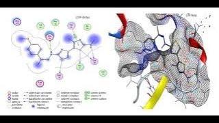 Moe.preparing 2D and 3D complex of protein structure and about Hydrogen bond, van deer waals,