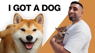 I got a Shiba Inu - Meet my NEW Dog, Kenji! | Vlog #11