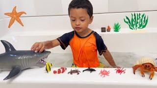 Fun Sea Animal Toys in Bubble Bath! Jeremy Plays with his Collection