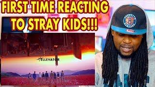 Stray Kids | Hellevator | FIRST TIME REACTION!!! | MV