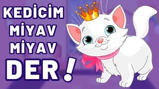 Kedicim Miyav Miyav Der - Eğitici Çocuk Şarkıları - Kedicim Benden Ne İster ?
