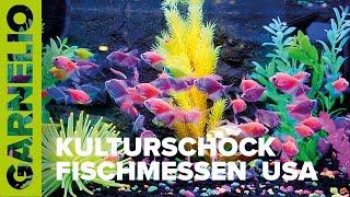 Kulturschock - Fischmessen in den USA