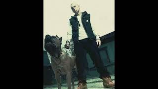 (FREE) Eminem x Boom Bap Type Beat "Hound" Slim Shady Type Beat
