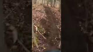 Riding my trail after build session. #mtb #like #aesthetic #jump #trailbuilding #nature