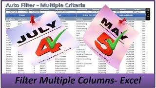 Filter Multiple Columns -Auto Filter  Multiple Criteria -  Excel VBA 2013
