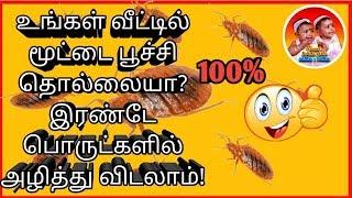 மூட்டை பூச்சியை முற்றிலும்  அழிப்பது எப்படி |How to kill bedbugs|Tamil Twins Sathu Vithu