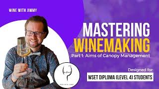 WSET Level 4 (WSET Diploma) Mastering The Aims of Canopy Management - Part 1