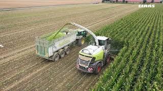 CLAAS In Campo 2021 - JAGUAR 980 BBF