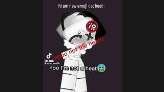 the heat on TikTok emojicats heat emoji cats