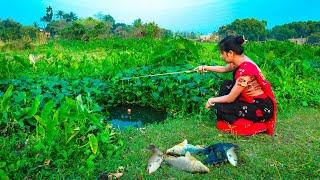 Fishing Video || Everyone will be Amazed to see the Village Girls Fishing Techniques || Hook Fishing