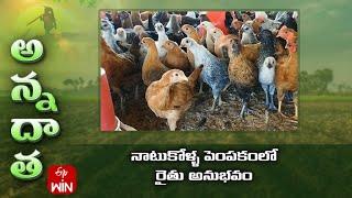 నాటుకోళ్ళ పెంపకంలో రైతు అనుభవం | Profitable Desi poultry farming by Nagarkurnool farmer | ETV