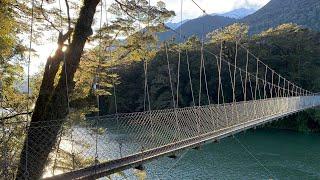 Walk the Hollyford Track