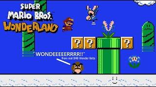 Super Mario Bros. Wonderland 87 (Super Mario Wonderland Beta/Prototype revival) Part 4 - Sky Lands