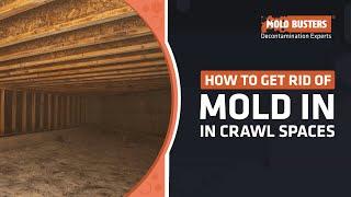 How to Get Rid of Mold in Crawl Spaces? - Mold Busters