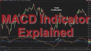 How to Use the MACD Indicator (Moving Average Convergence Divergence)