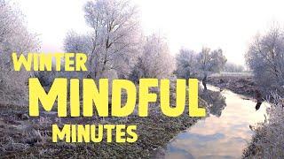 Wrap up warm and cosy, it's Winter | Mindful minute | WWT