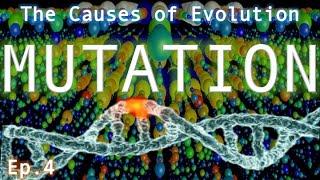 Mutation | The Causes of Evolution | Ep. 4