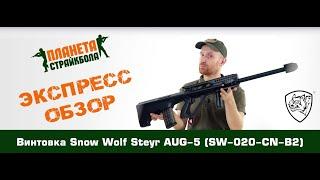 Обзор винтовки Snow Wolf Steyr AUG-5 (SW-020-CN-B2)