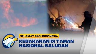 Kabakaran di Perbukitan Klosot Taman Nasional Baluran - [Selamat Pagi Indonesia]