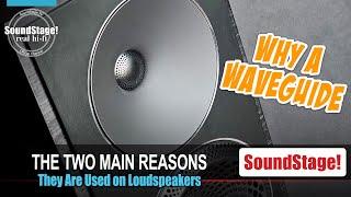 Are Waveguides Good? This Explains Why Some Speaker Designers Use Them (Ep:69)