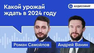 Какой урожай ждать в 2024 году